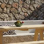 Vilă Manoir Dennise Agrilia (Zakynthos)